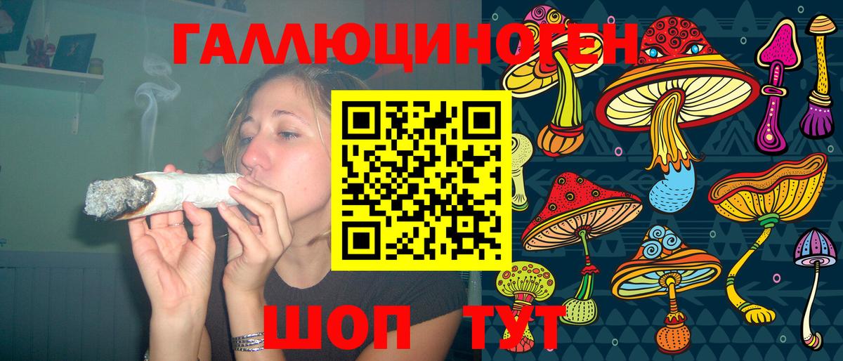 Луга  Псилоцибиновые грибы Psilocybe  Вход с VPN  Галлюциногенные грибы Psilocybe 